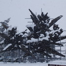 Monumento alla Resistenza sotto la neve