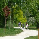Pista ciclabile lungo il Gesso- foto archivio ufficio stampa Comune di Cuneo