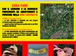 manifesto Attività di contrasto al Tarlo asiatico del fusto