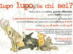 Lupo lupo, ma chi sei?