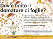 Dov’è finito il domatore di foglie?