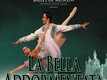 La bella addormentata