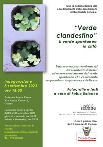 Mostra | Verde clandestino