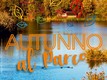Locandina dell'Autunno al Parco