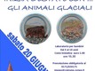 Animali glaciali