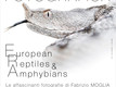 European Reptiles Amphibians