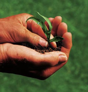 Corso base di agricoltura  biodinamica e omeodinamica