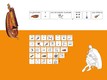 Una scheda in CAA disponibile presso il Museo Civico