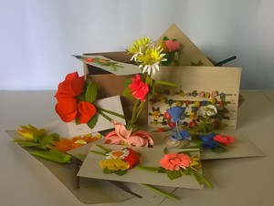 Foto collezione i fiori di Teresa