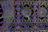 Illuminata 2015