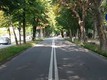 viale angeli