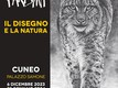 Mostra | Il disegno e la natura