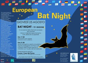 Locandina Bat Night 2016