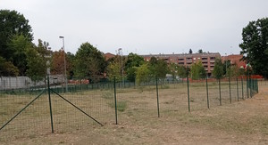 area cani Parco Parri