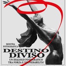 Destino diviso