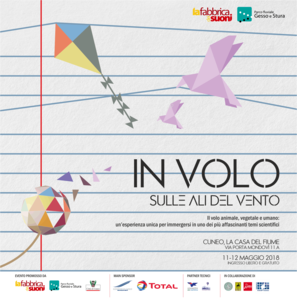 Locandina IN VOLO: sulle ali del vento