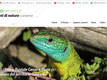 Home page del "Museoappunti"