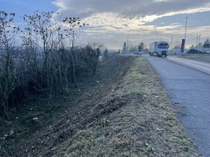 Foto lavori sfalcio via Torino