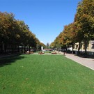 Corso Dante