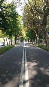 viale angeli