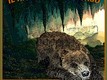 Il risveglio dell'orso