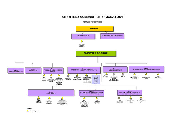 Organigramma e organizzazione