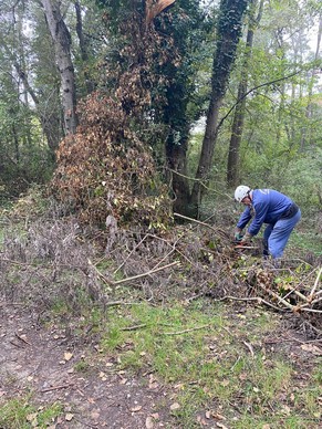Volontari durante la rimozione dell'albero caduto (1)