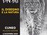 Mostra | Il disegno e la natura