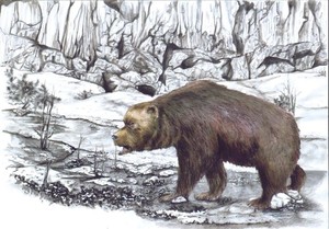 L'orso ritrovato
