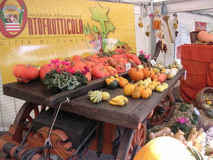 immagine mostra ortofrutticola