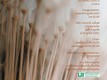 Mostra | La bellezza rivelata