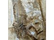 Mostra | Barbara Villosio