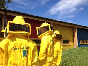 Attività all'apiario didattico