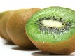 Piano regionale di profilassi fitosanitaria della batteriosi dell'actinidia