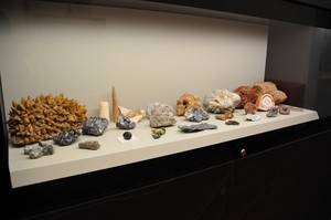 Foto di Maineri Teresa della nuova vetrina dei minerali del museo