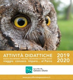 Attività didattiche del Parco fluviale - 1