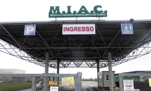 Immagine di repertorio