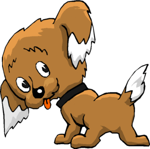 Cane