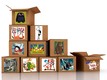 Trasloco biblioteche ragazzi e adolescenti