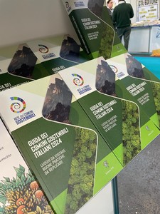 la copertina della Guida