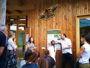 Mostra "Effetto farfalla"