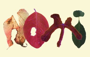i nomi di scrittorincittà 2015