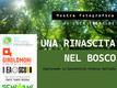Una rinascita nel bosco