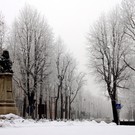 Rondò Garibaldi - foto di Pier Renzo Lingua®