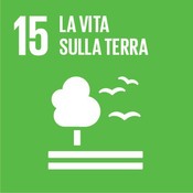 Goal 15
