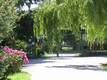 Immagine canile municipale