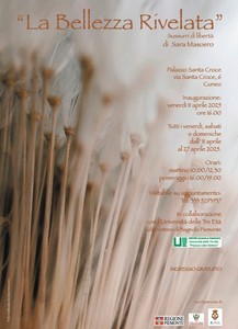 Mostra | La bellezza rivelata