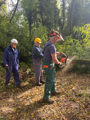 Volontari durante la rimozione degli alberi caduti (2)