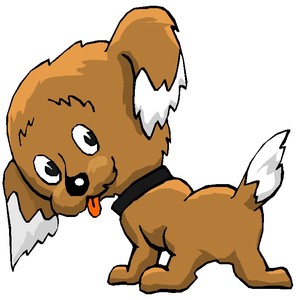 Cane