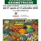 Esuberanze geometriche